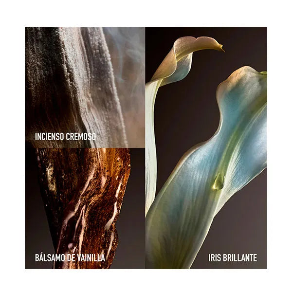 Fame The Couture Edition PACO RABBANNE Eau de Parfum