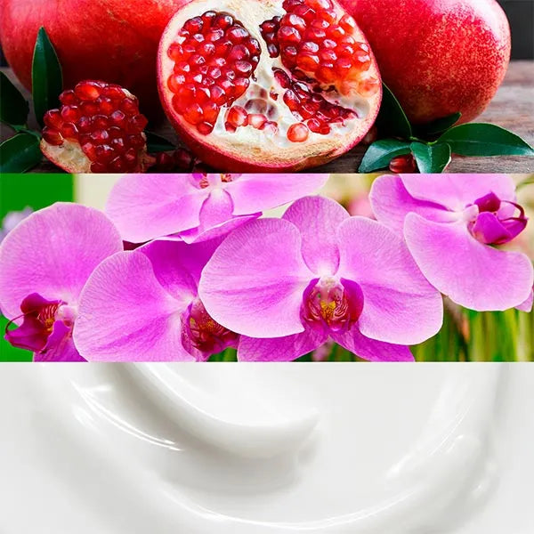 Euphoria CALVIN KLEIN Eau de Parfum