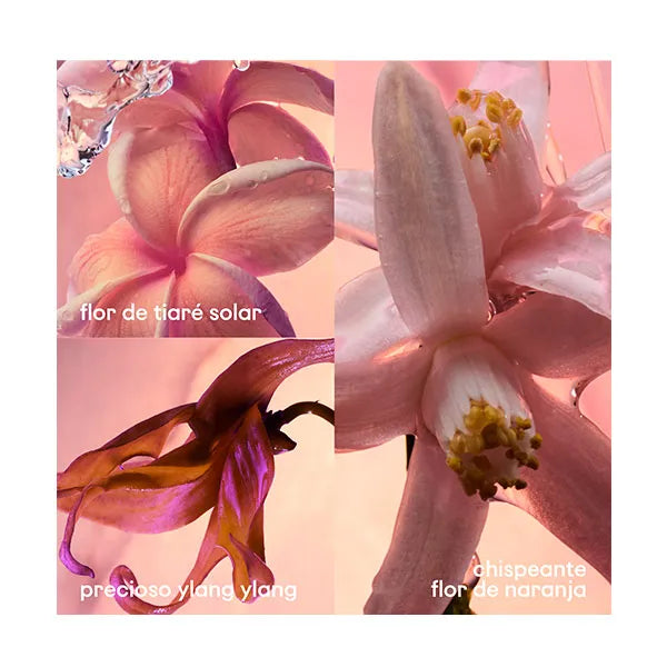 Olympea Solar PACO RABANNE Eau de Parfum