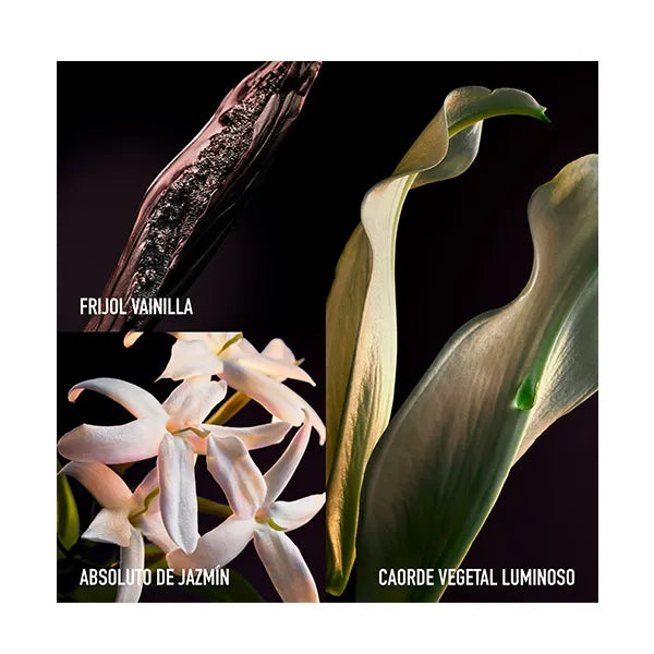 Olympea Parfum PACO RABANNE Parfum